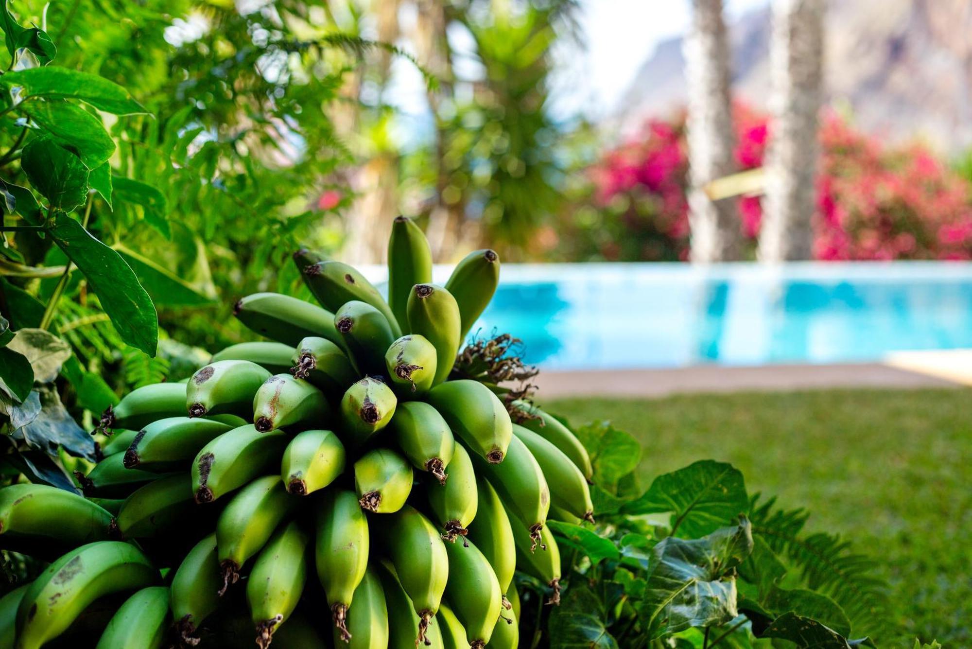 Villa Bela Vigia Jardim do Mar Esterno foto